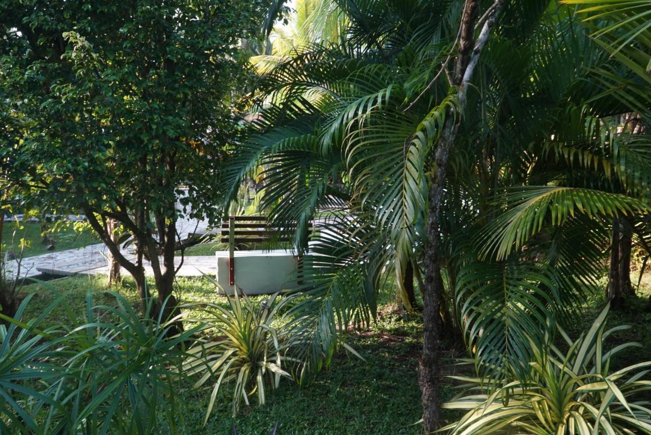 Red Coconut Villa Bentota Exterior photo