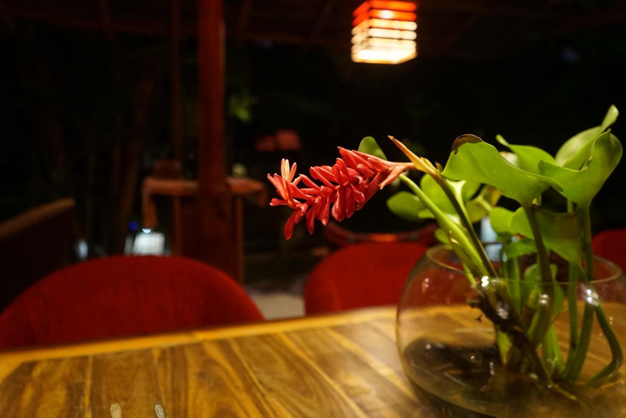 Red Coconut Villa Bentota Exterior photo