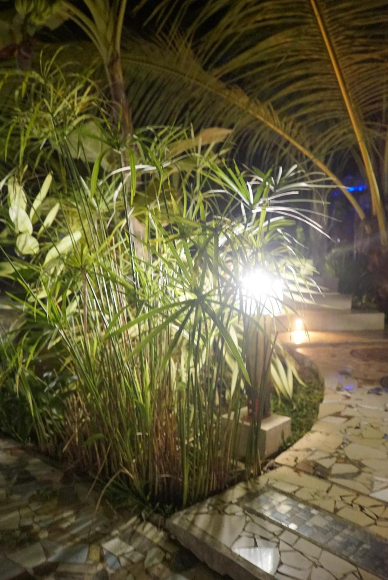 Red Coconut Villa Bentota Exterior photo